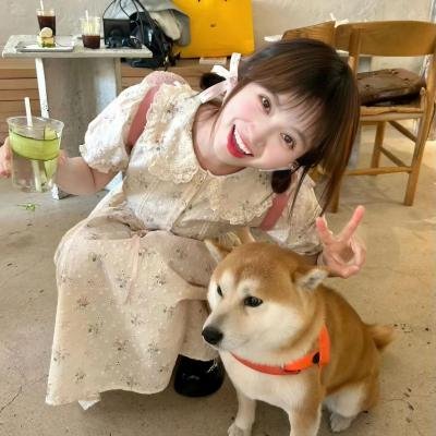 最美身影第一季 高清在线观看
